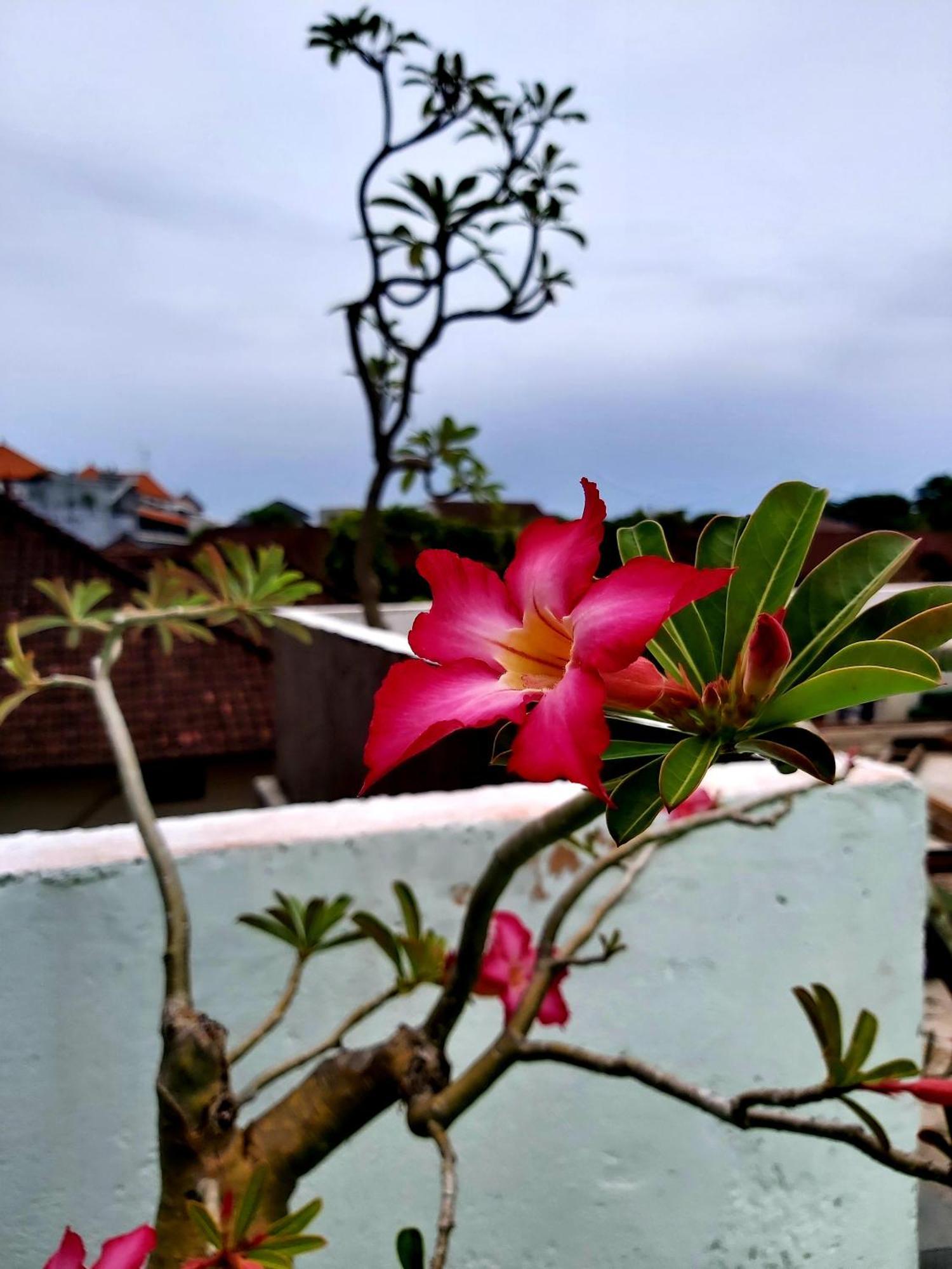 Genta House Hotel Kuta  Luaran gambar